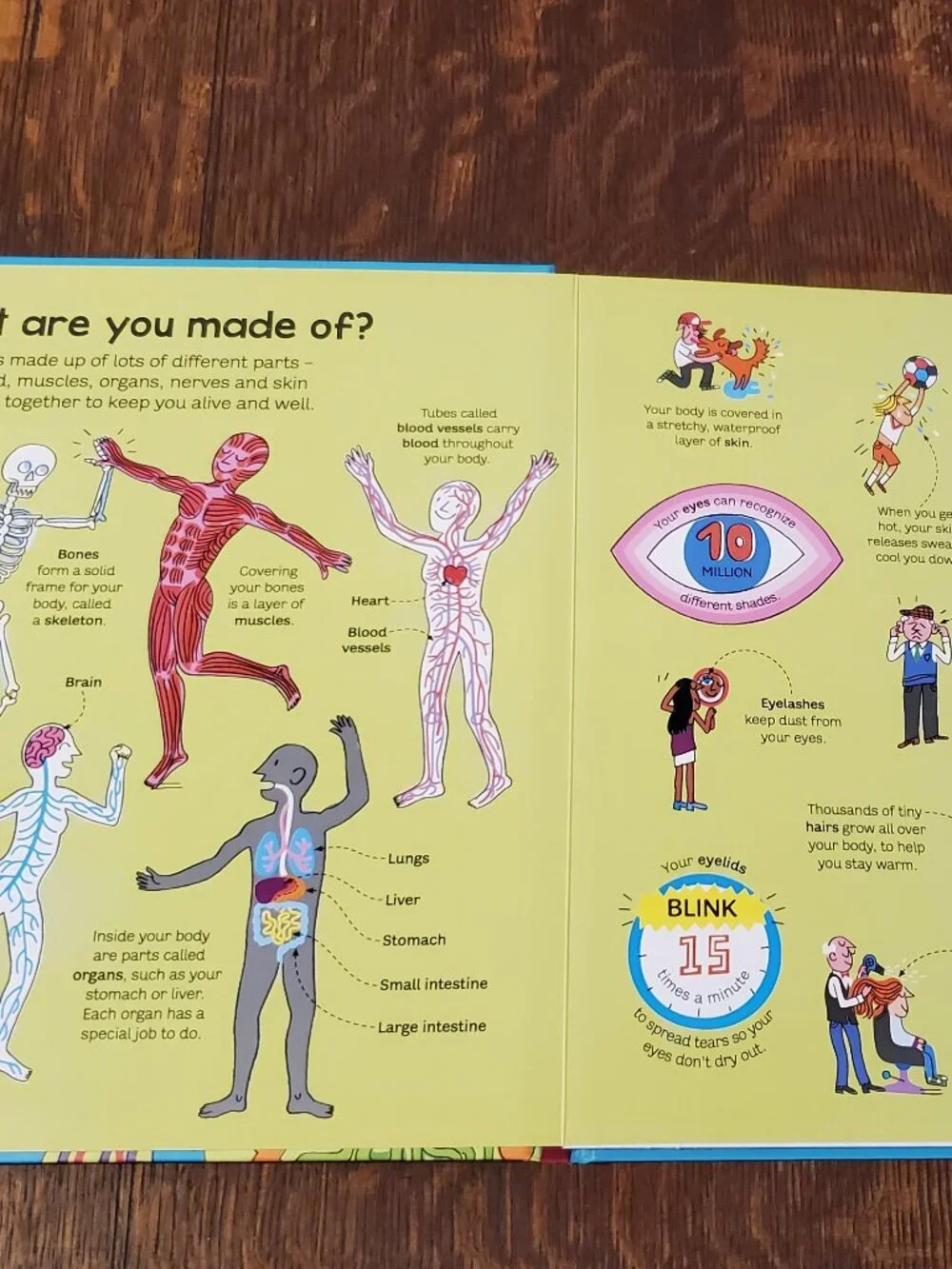 Usborne Big Book of the Body